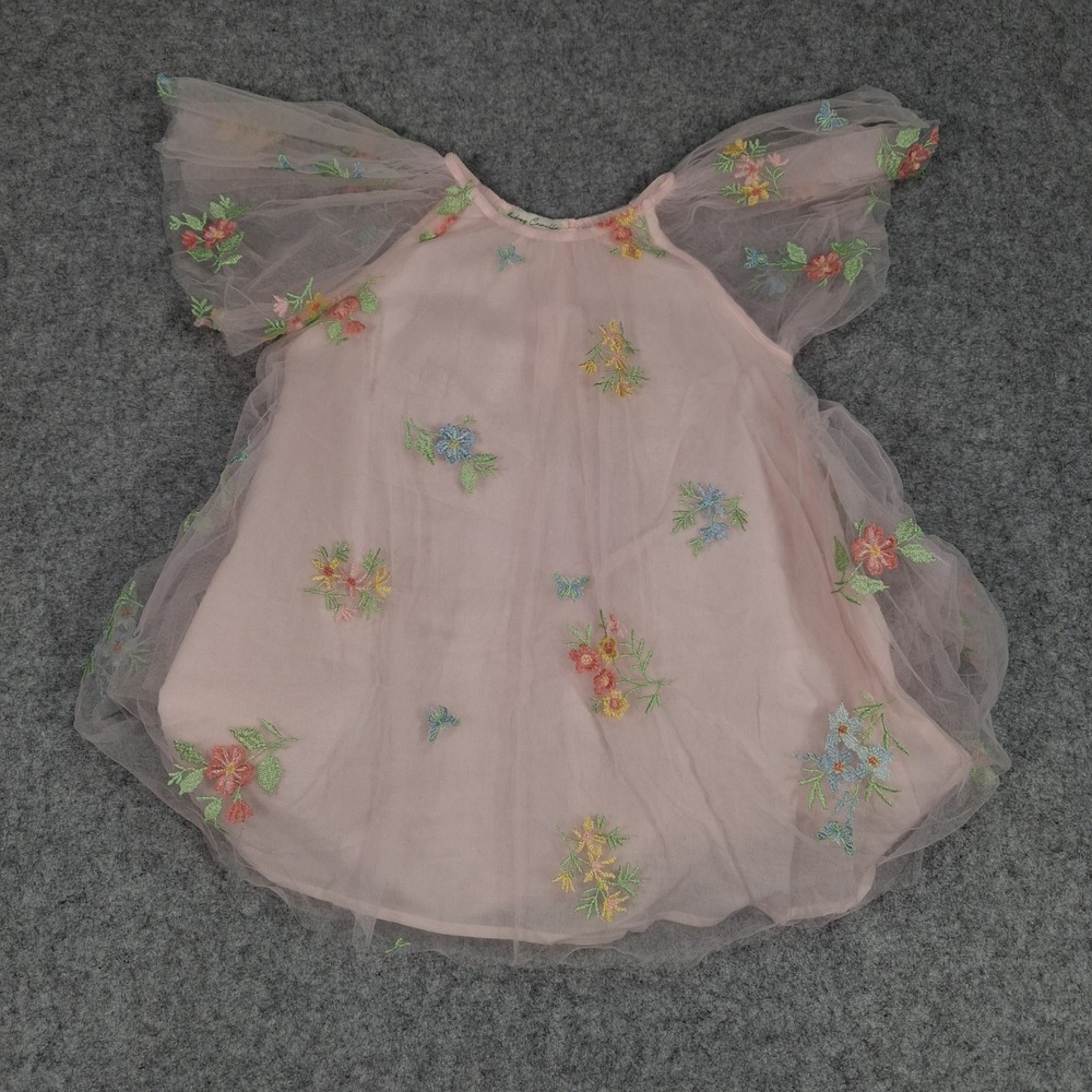 Audrey Camille Embroidered Tulle Dress Toddler Girls 4T Pink Floral Butterfly